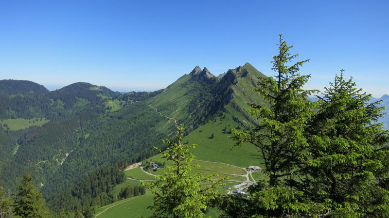 Dent de Jaman, randonnée d'été depuis le col de Jaman en dessus de